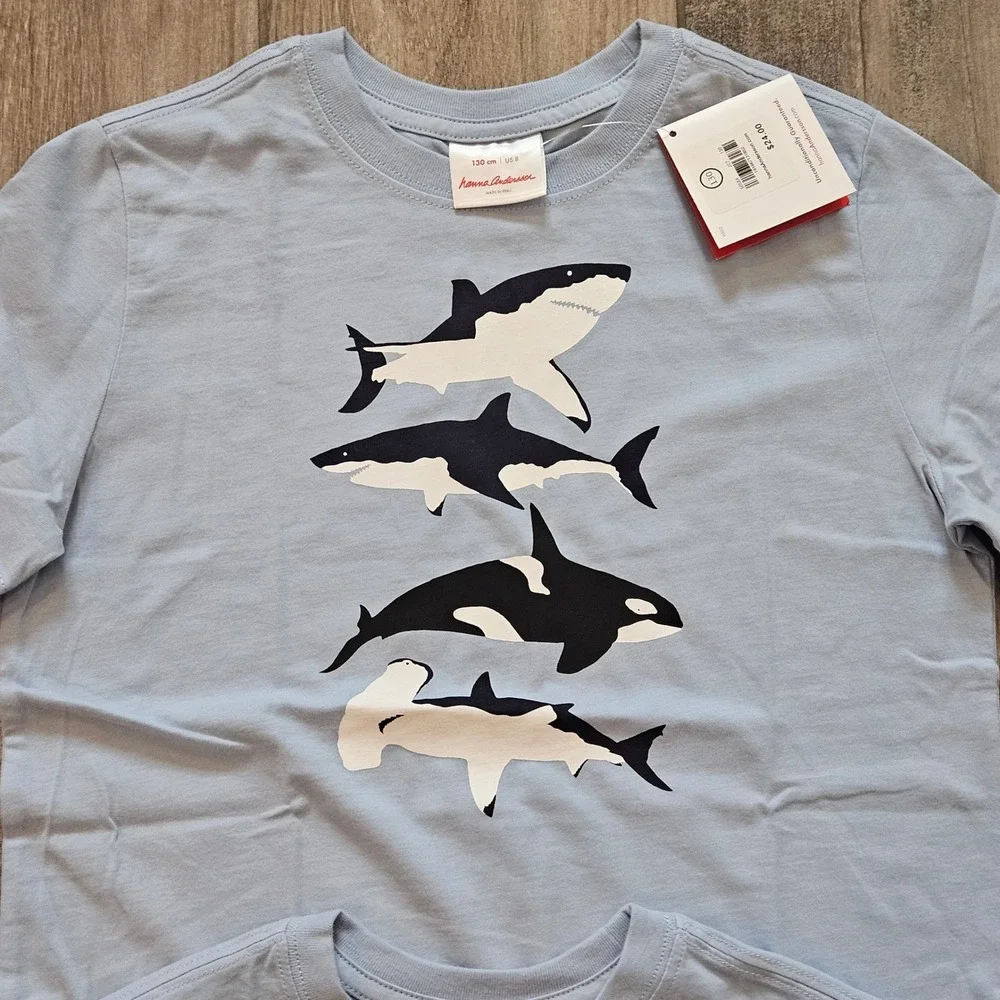 Hanna Andersson T Shirt Pants Lot of 4 Kids 8 130 Shark Dog Dino Scandi Organic